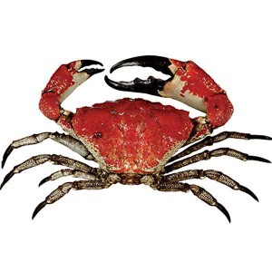 Giant Crab