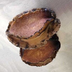 Parboiled abalone