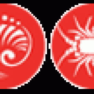 Pacific Bao Yu logo