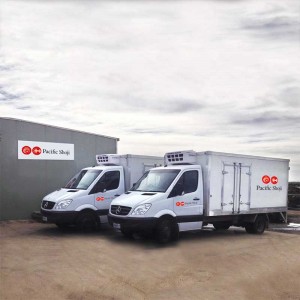 Transport vehicles