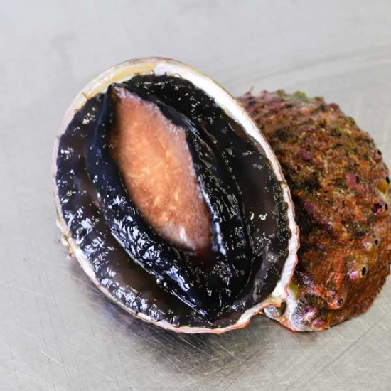 Whole frozen in shell abalone