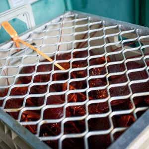 Lobster transport crate