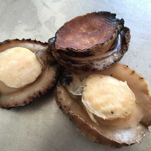 Parboiled abalone