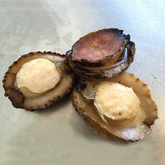 Parboiled abalone
